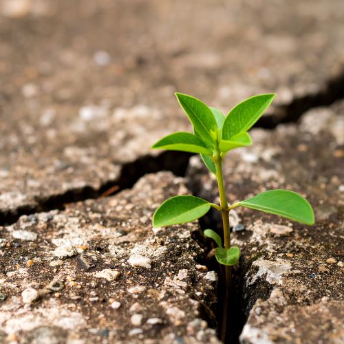 origine-des-dommages