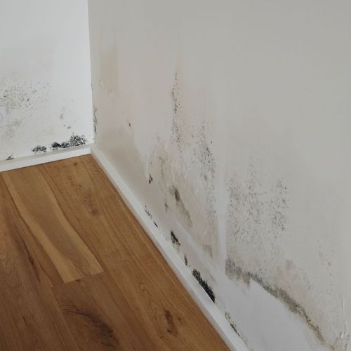 realisation-expert-humidite-maison